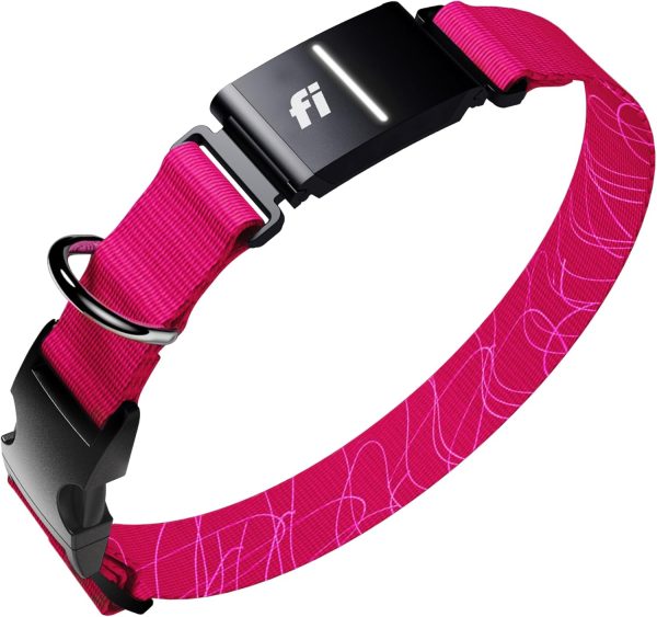 Fi Smart Dog Tracker Collar with GPS & Alerts