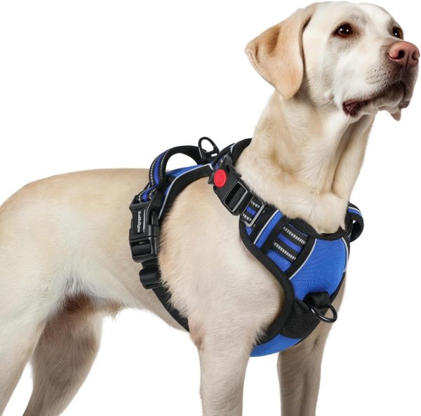 rabbitgoo Large Dog No-Pull Harness, Blue