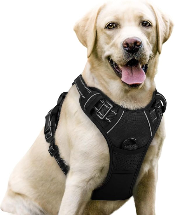 rabbitgoo No Pull Dog Harness, Large, Black